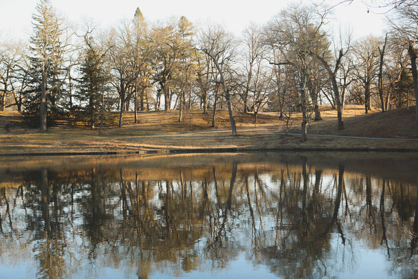 beautiful landscape with river and trees - Zdjęcie, obraz