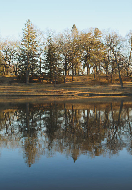 beautiful landscape with trees and river - Zdjęcie, obraz