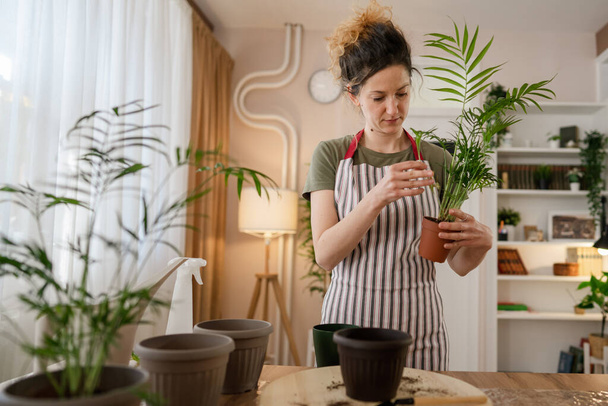 Одна взрослая женщина кавказский женщина садовник или флорист заботиться и культивировать домашние цветы растения в домашних садоводства концепции копирования пространства - Фото, изображение