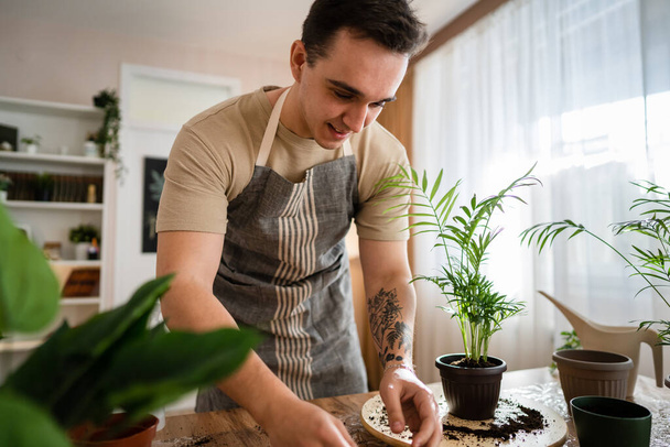 Ένας ενήλικας άνδρας καυκάσιος άντρας κηπουρός ή ανθοπώλης φροντίζει και καλλιεργεί οικιακά φυτά λουλουδιών στο σπίτι κηπουρική έννοια αντιγραφή χώρου - Φωτογραφία, εικόνα