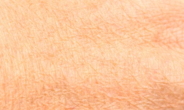 menselijke huid rimpels - Foto, afbeelding