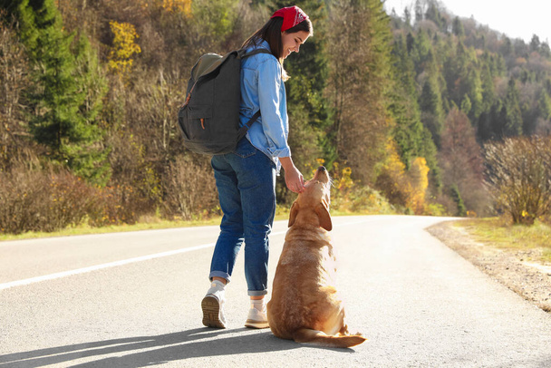 Happy woman and adorable dog on road. Traveling with pet - 写真・画像