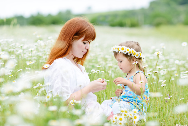 fun in field of daisies - Photo, Image