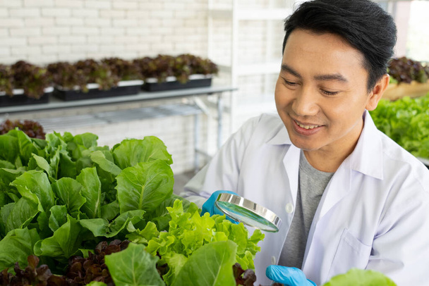 Ученый проводит эксперимент в сельскохозяйственной лаборатории по разработке урожая генетических модификаций - Фото, изображение