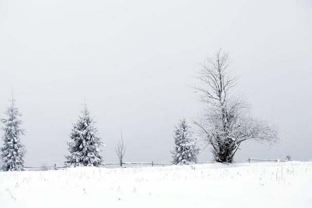 Fantastyczny zimowy krajobraz - Zdjęcie, obraz