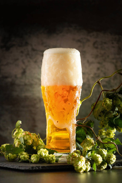 A glass of light beer with foam on a dark background and bunches of green hops. Unfiltered beer with foam spreading over the glass - Foto, imagen