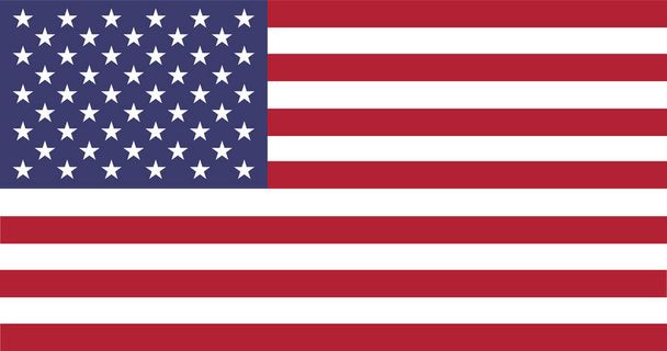 Amerikan yhdysvaltojen lippu. USA:n lippu. Vektoriesimerkki - Vektori, kuva