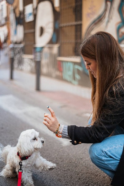 Beyaz köpeğine sokakta birkaç numara öğreten genç bir kadın.. - Fotoğraf, Görsel