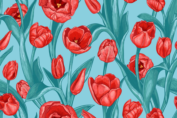 Beautiful seamless pattern with hand drawn red Tulip flowers on a blue background. Vector illustration of spring Tulips. Blooming flowers and leaves. Floral elements for textile design - Wektor, obraz