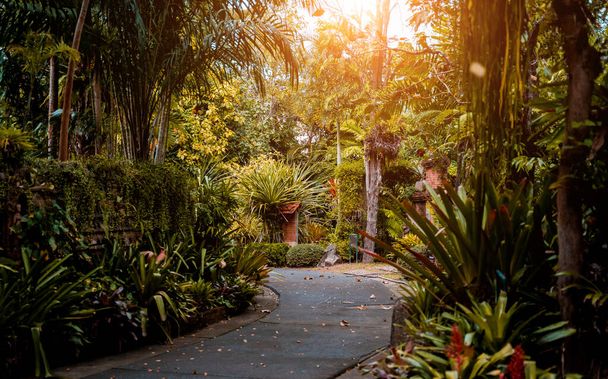 Luxury landscape design of the tropical garden. - Foto, immagini