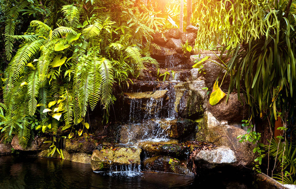 Design paesaggistico di lusso del giardino tropicale. - Foto, immagini