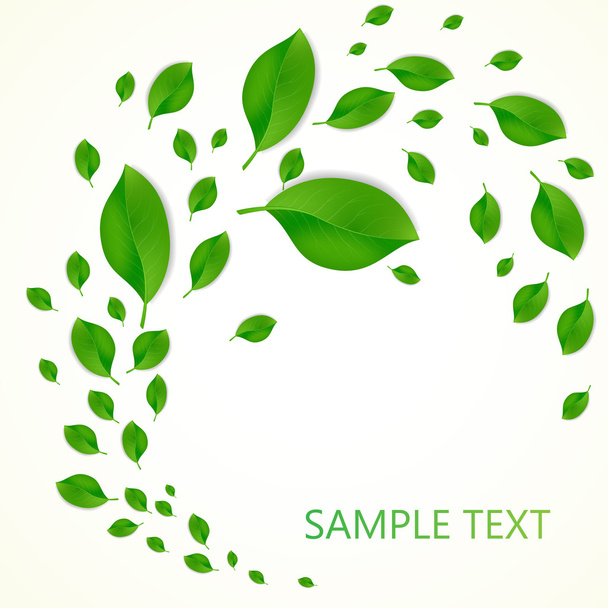 Background with green fresh leaves and place for your text. Vector illustration - Vetor, Imagem