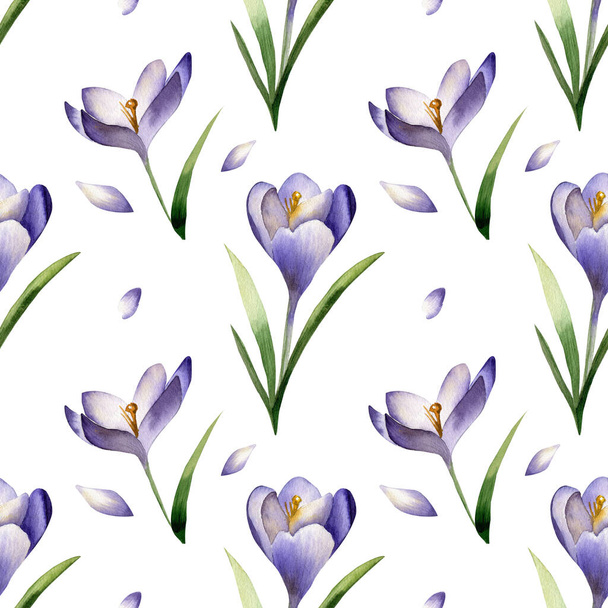 Crocus flores de primavera patrón sin costura sobre fondo violeta claro. Flor de azafrán. - Foto, Imagen
