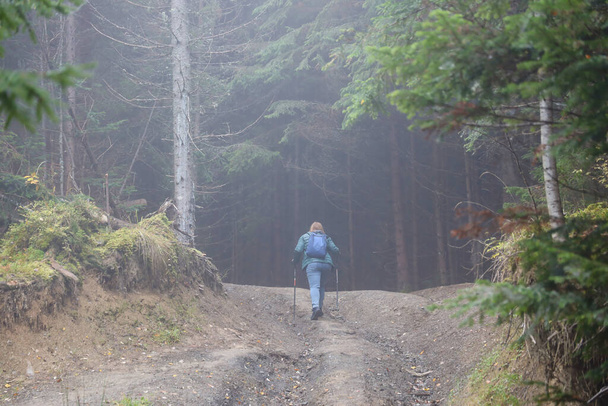 MONTAÑAS CARPATÍAS, UCRANIA - 8 DE OCTUBRE DE 2022 Monte Hoverla. Cárpatos en Ucrania en otoño. Los turistas caminan a través de colinas y bosques para subir a la cima de la montaña Hoverla - Foto, Imagen