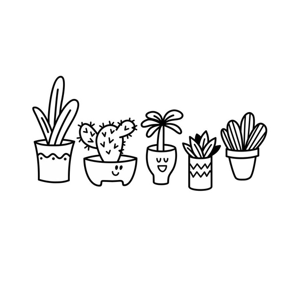 Set of potted plants in a hand-drawn style. Vector linear illustration. - Вектор, зображення