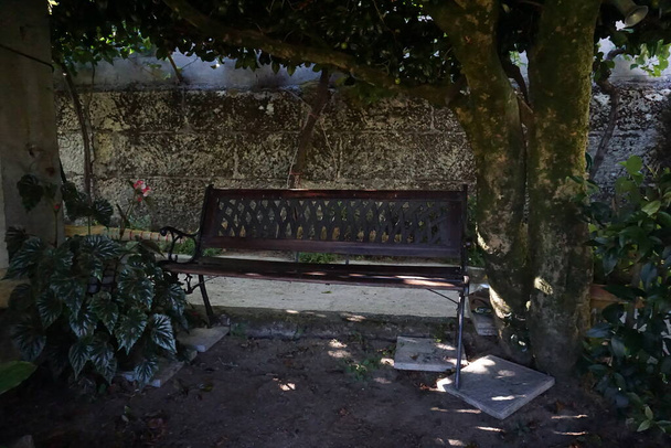 banc dans un jardin à l'ombre d'un arbre donne une sensation de fraîcheur - Photo, image