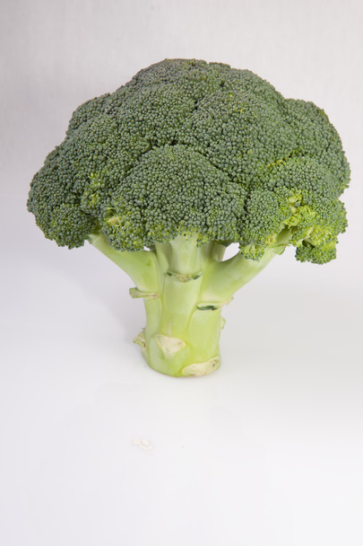 Planta entera de brócoli
 - Foto, imagen