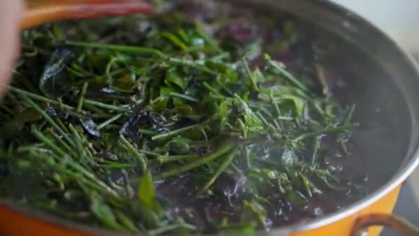 O processo de fazer arroz glutinoso de cinco cores, um alimento tradicional para o Festival Ching Ming chinês - Filmagem, Vídeo