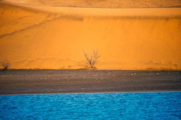 Pouštní scéna s oázou. Pobřežní písečná duna - Fotografie, Obrázek