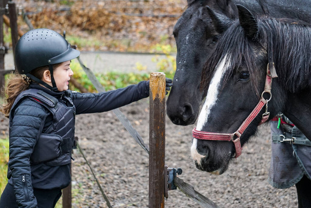 Seitenansicht eines Mädchens, das ein Pferd tätschelt - Foto, Bild