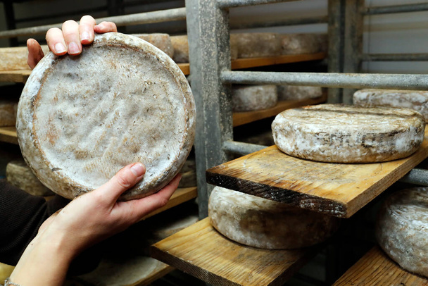 Tradional cheese maker. Tomme.   Saint Gervais les Bains. France.  - Photo, Image