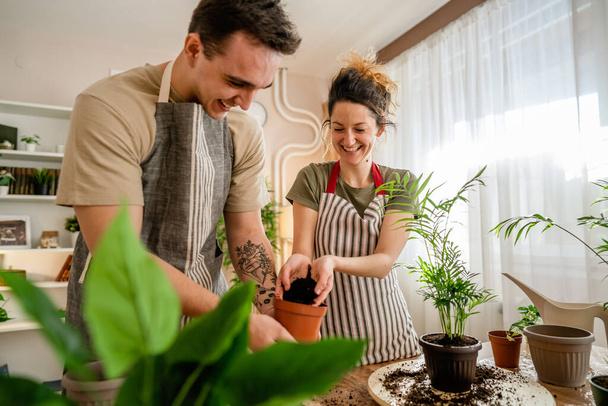 Пара кавказских мужчин и женщин жена и муж сажают цветы вместе заботясь о домашних растениях реальные люди семейная жизнь садоводство концепция копирования пространства - Фото, изображение