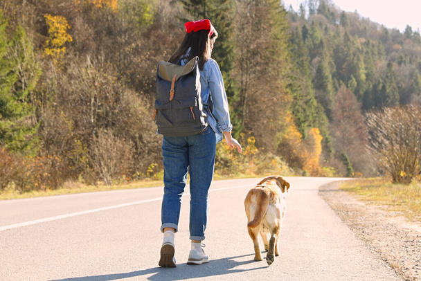 Woman and adorable dog walking along road, back view. Traveling with pet - 写真・画像
