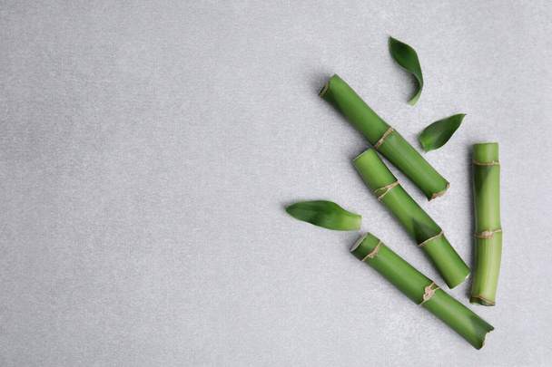 Pieces of beautiful green bamboo stems on light table, flat lay. Space for text - Fotoğraf, Görsel