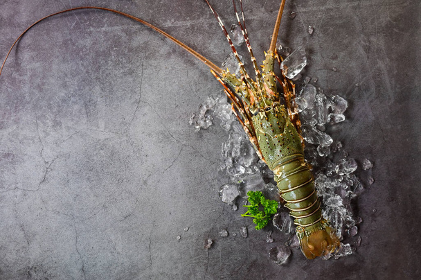 spiny lobster seafood on ice, fresh lobster or rock lobster with herb and spices lemon parsley on dark background, raw spiny lobster for cooking food or seafood market - top view   - Фото, изображение