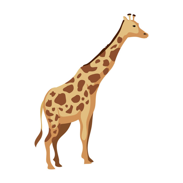 wild giraffe design over white - Vecteur, image