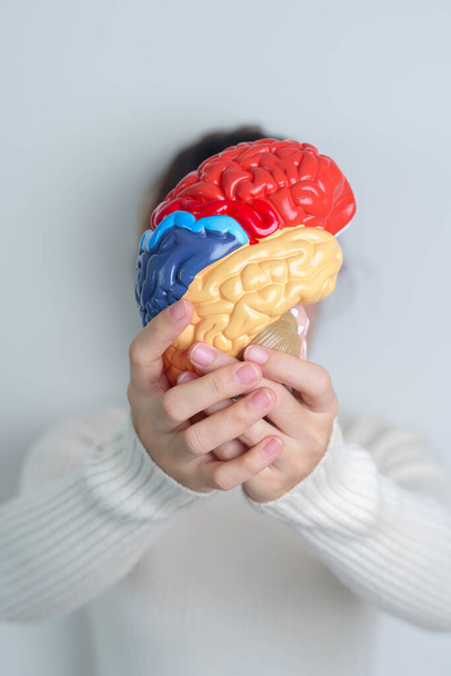 Woman holding human Brain model. World Brain Tumor day, Brain Stroke, Dementia, alzheimer, parkinson and world mental health concept - Fotó, kép