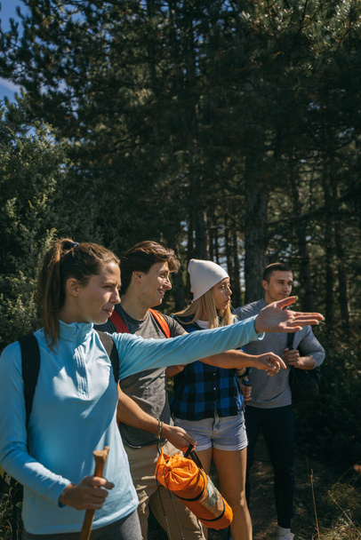 Группа туристов показывает что-то, стоя в лесу - Фото, изображение