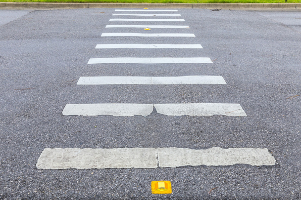 Zebra caminho na superfície da estrada de asfalto
 - Foto, Imagem