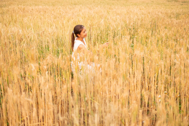 Mladé asijské ženy v bílých šatech v ječmen rýžové pole sezóna zlatá barva pšenice rostlin v Chiang Mai Thajsko - Fotografie, Obrázek