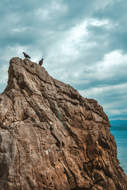 Pigeons on large rock against dramatic atmospheric sky with dark clouds in background, selective focus - Foto, Imagem