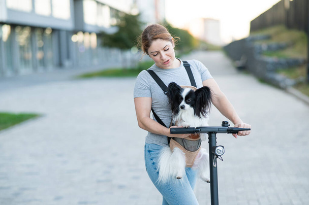 A woman rides an electric scooter with a dog in a backpack. Pappilion Spaniel Continental in a sling - Foto, Imagen