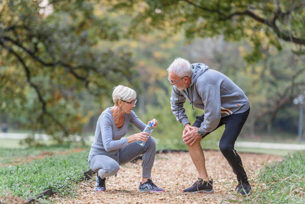 senior couple exercising at park - Photo, Image