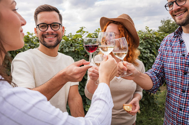 счастливые друзья пьют вино в винограднике - Фото, изображение