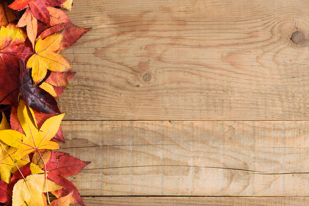 コピースペースのある素朴な木の上にカラフルな葉を持つ秋の背景 - 写真・画像