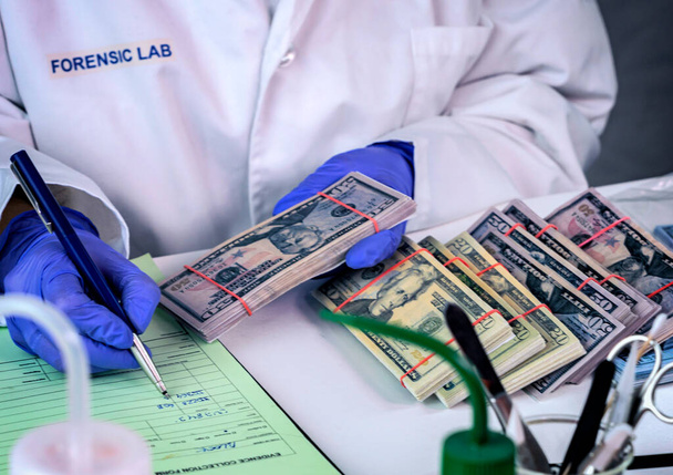 Polis bilimadamı, suç laboratuarı soygunundan çalınan doları inceliyor. - Fotoğraf, Görsel