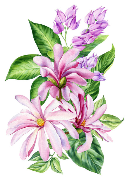 Bukiet kwiatów magnolia, akwarela botaniczna ilustracja, projekt flory, odizolowane białe tło. Wysokiej jakości ilustracja - Zdjęcie, obraz