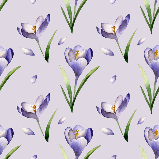 Crocus flores de primavera patrón sin costura sobre fondo violeta claro. Flor de azafrán. - Foto, imagen