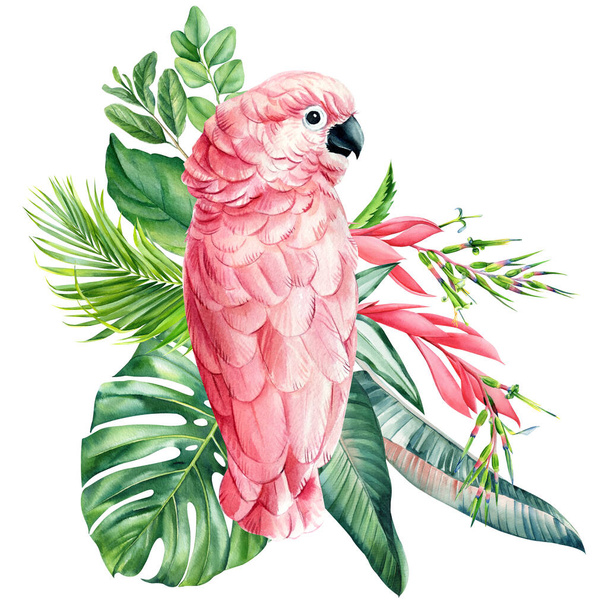 Pink parrot, Colored Palm leaves, flowers. Tropical composition, hand drawn watercolor botanical painting. jungle card. High quality illustration - Fotoğraf, Görsel