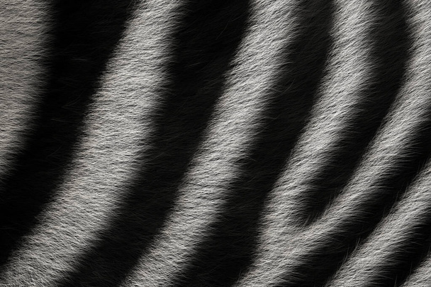 Textura de pele animal de lã de zebra. Preto e branco listrado natureza fundo - Foto, Imagem