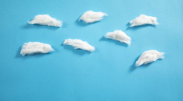 Cotton on the blue background. - 写真・画像