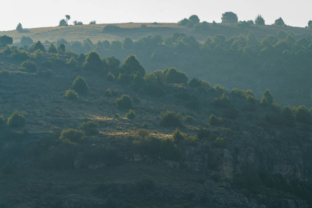 Précipice avec arbres sur le dessus et zone rocheuse avec soleil levant - Photo, image
