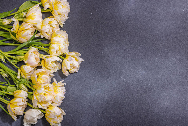 Свежий свет пионских тюльпанов на черном каменном бетонном фоне. Праздничная концепция ко Дню Матери или Дню Святого Валентина. Открытка, Пасхальная квартира, твёрдый свет, тёмная тень, вид сверху - Фото, изображение