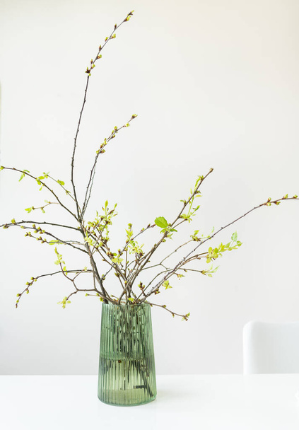 Young blooming branches of a cherry tree in a glass green vase on a white table in the interior - Fotografie, Obrázek