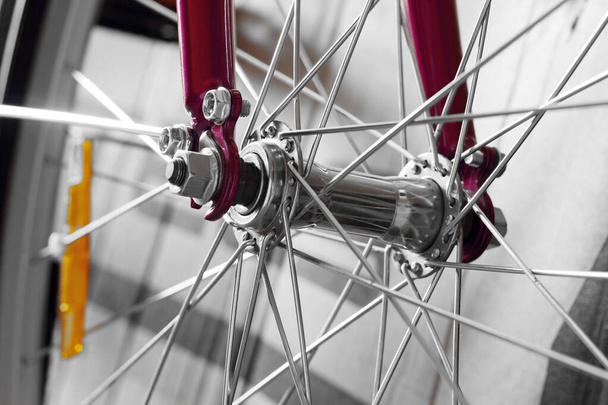 Front bicycle wheel. Close-up. Isolated on light gray background. - Foto, afbeelding