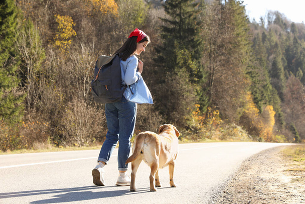 Happy woman and adorable dog walking along road. Traveling with pet - Zdjęcie, obraz